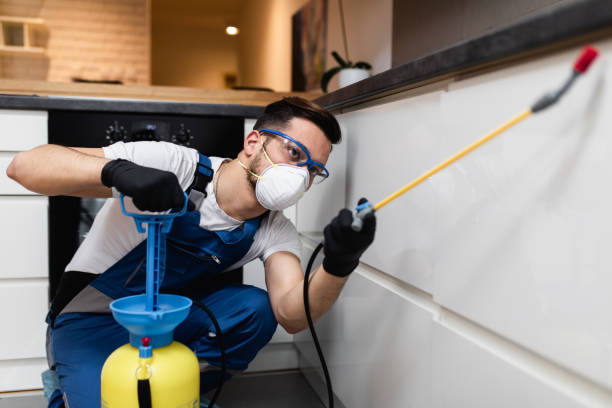 Best Best Pest Control Companies  in Bloomfield, NY