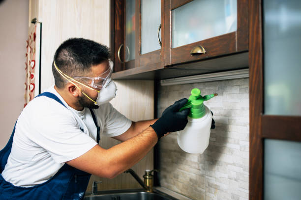 Best Pest Inspection Near Me  in Bloomfield, NY