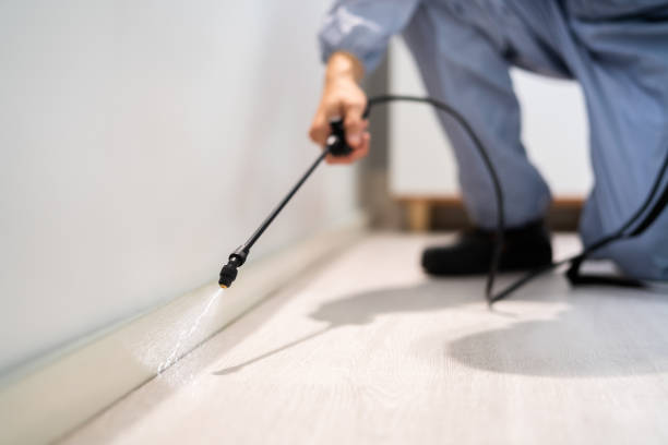 Best Commercial Pest Control Services  in Bloomfield, NY