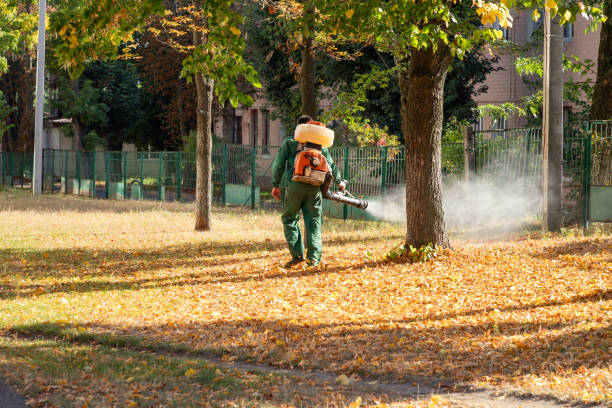 Best Pest Control Near Me  in Bloomfield, NY