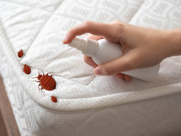 Best Commercial Pest Control Services  in Bloomfield, NY