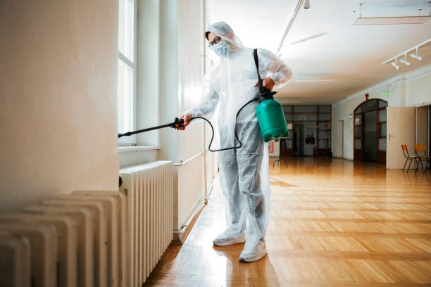 Best Affordable Pest Control Services  in Bloomfield, NY